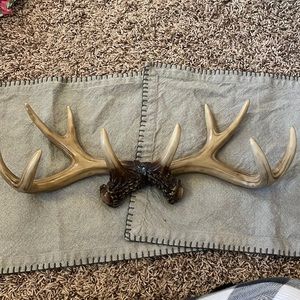 Antlers for decoration